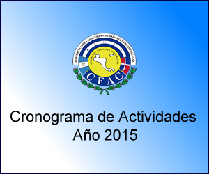 Cronograma de Actividades